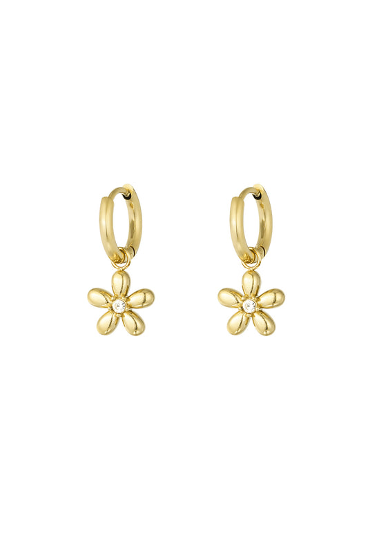 Elegant Drop Earrings in Silver and Gold