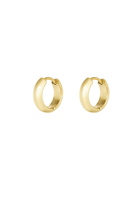 Stylish Stainless Steel Hoop Earrings in Silver & Gold