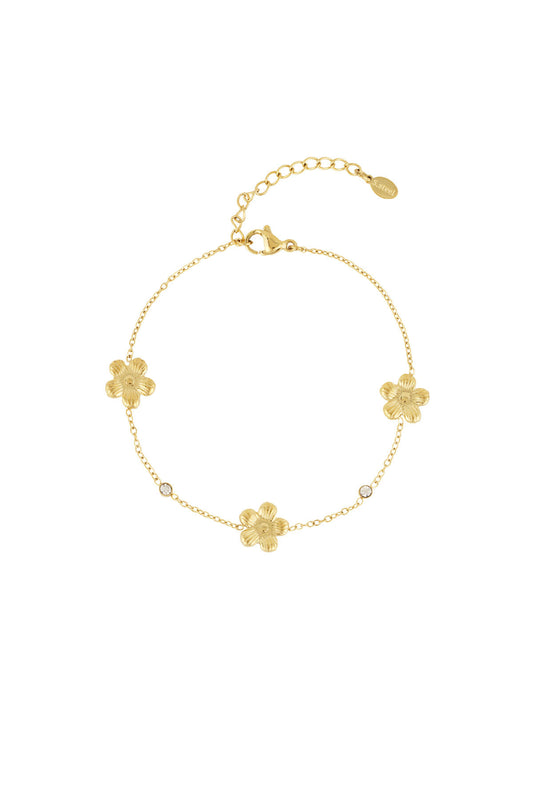 Stylish Stainless Steel Charm Bracelets in Silver & Gold