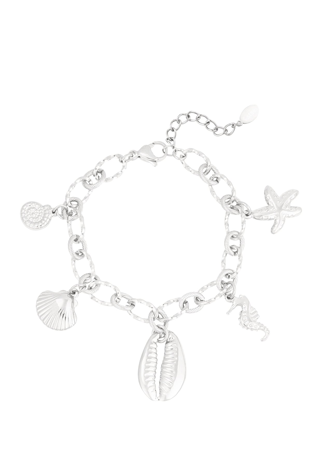 Stylish Stainless Steel Charm Bracelets in Silver & Gold