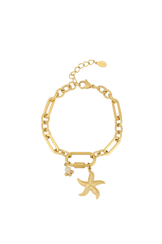 Elegant Charm Bracelets in Silver & Gold Tones