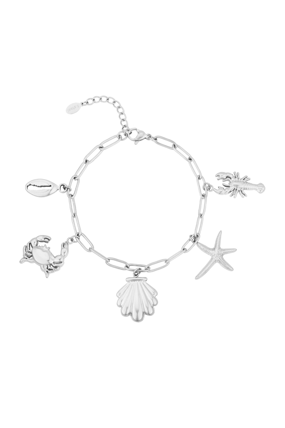 Elegant Charm Bracelets in Silver & Gold