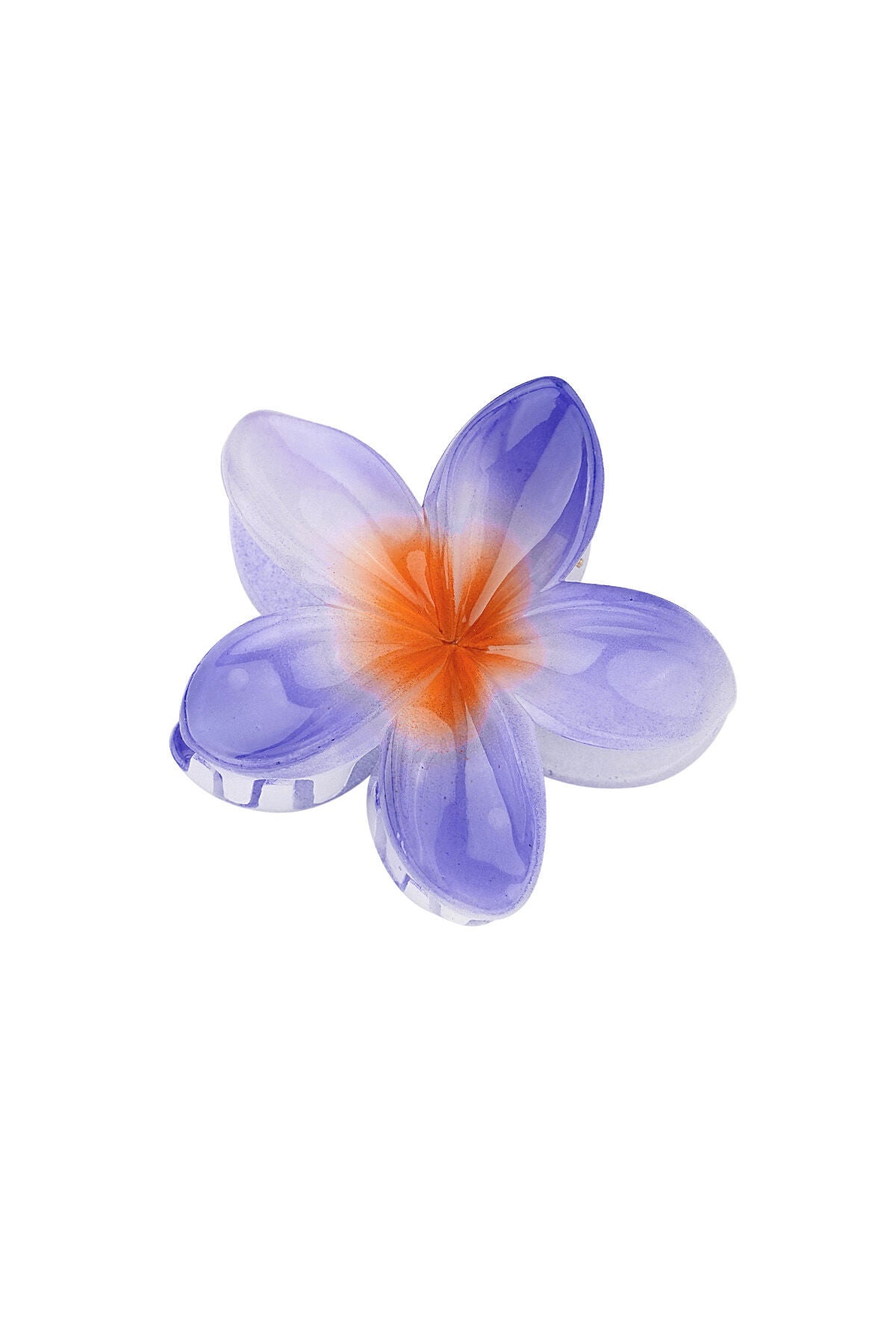Colorful Plastic Hair Clips for Stylish Looks