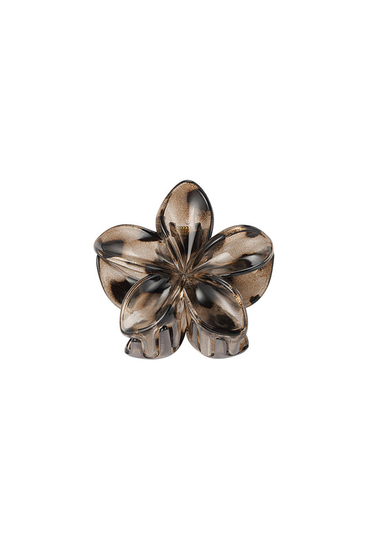 Stylish Plastic Hair Clips for Women - Fall/Winter Essentials