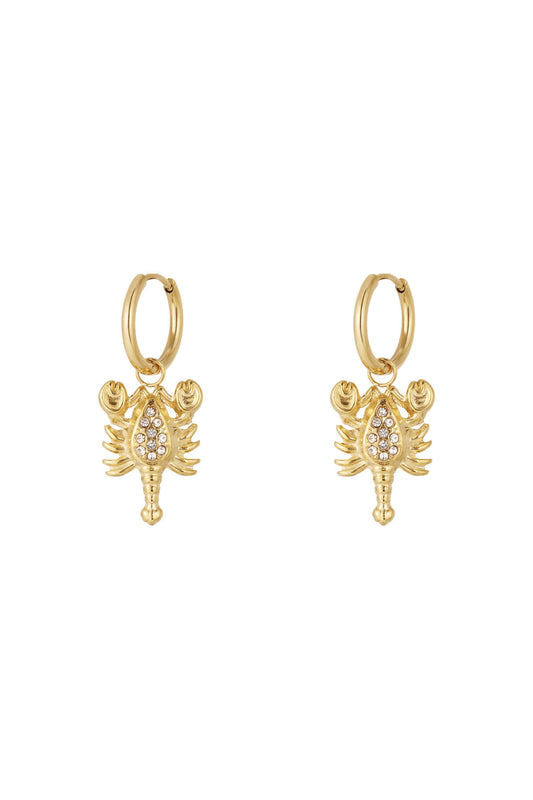 Elegant Drop Earrings for Women - Silver & Gold