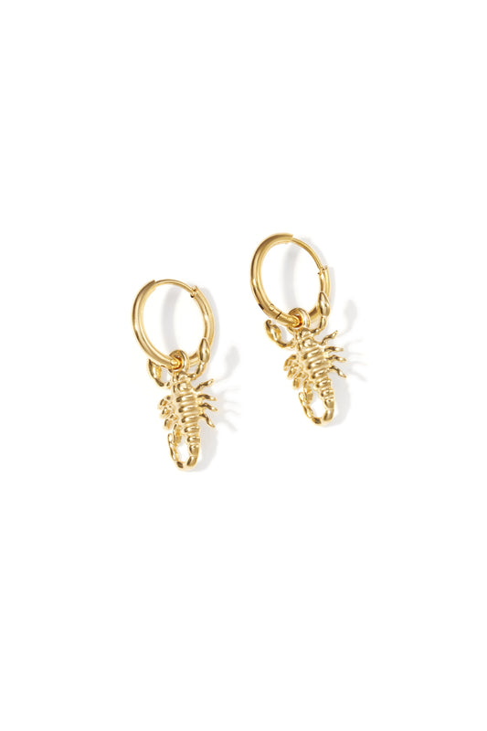 Elegant Drop Earrings for Women - Silver & Gold