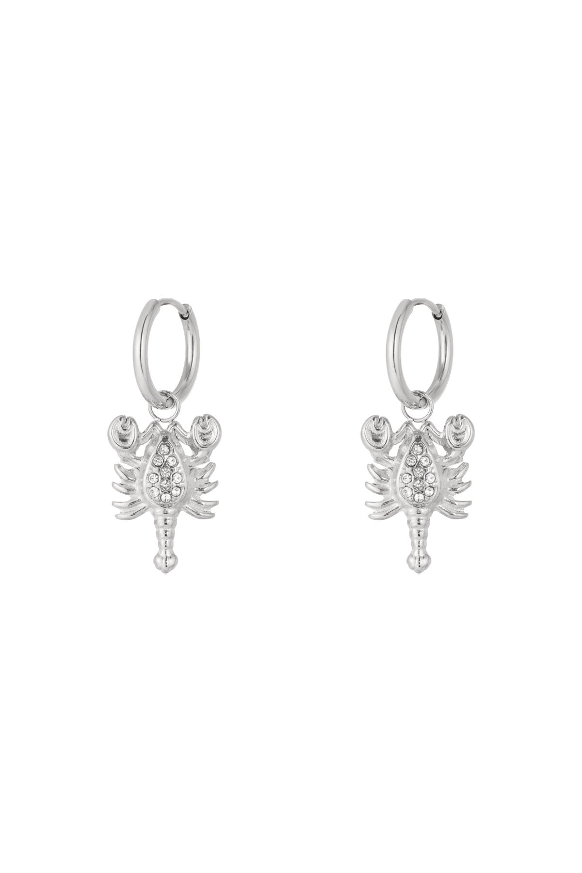Elegant Drop Earrings for Women - Silver & Gold