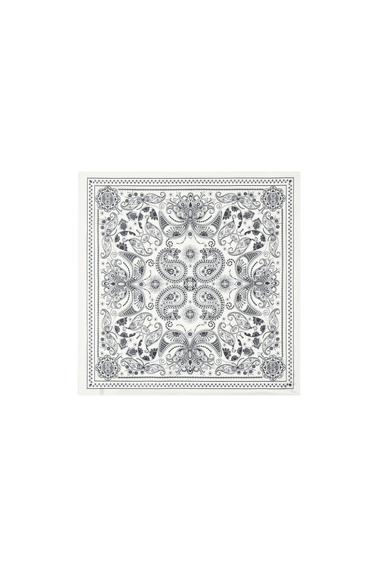 Luxurious Paisley Summer Scarf for Women - Red & Black