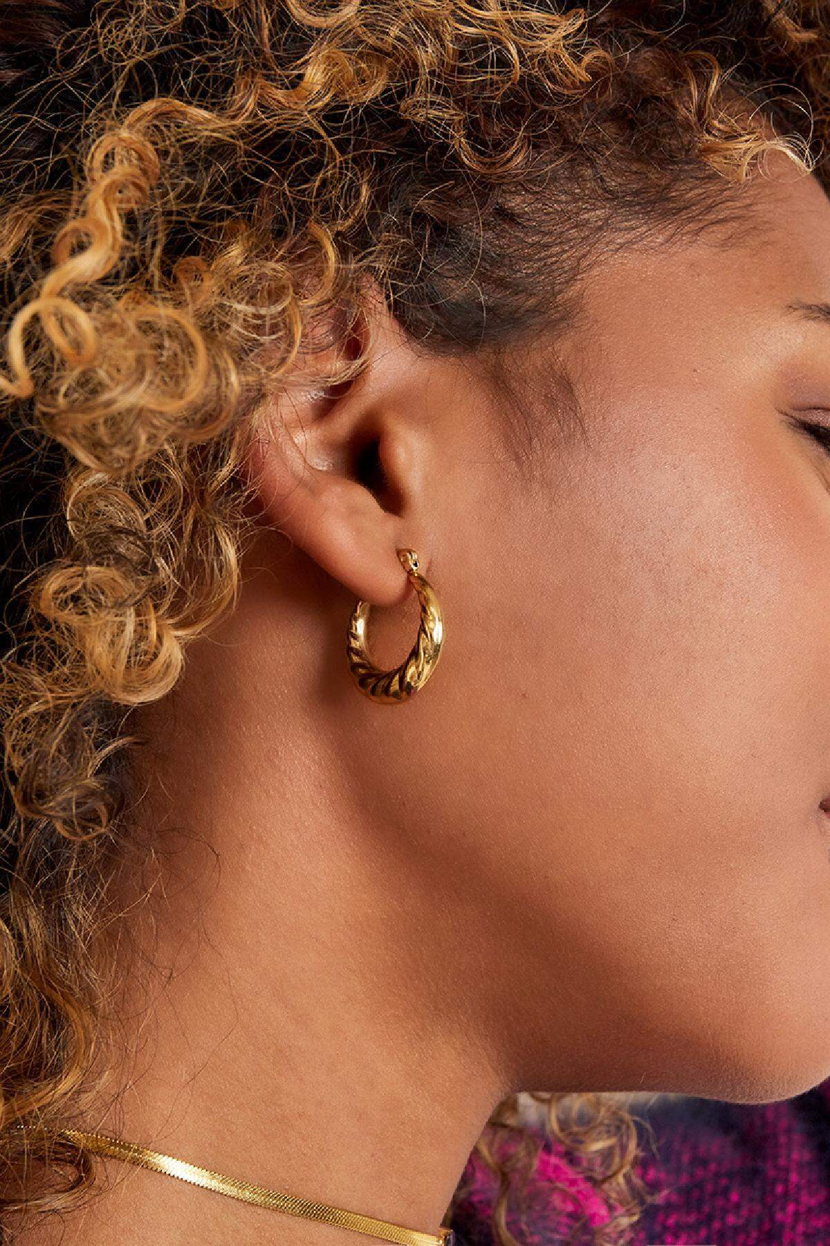 Stylish Stainless Steel Hoop Earrings - Silver & Gold