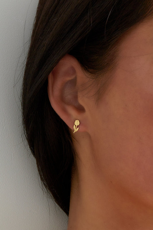 Elegant Mini Stud Earrings in Silver & Gold