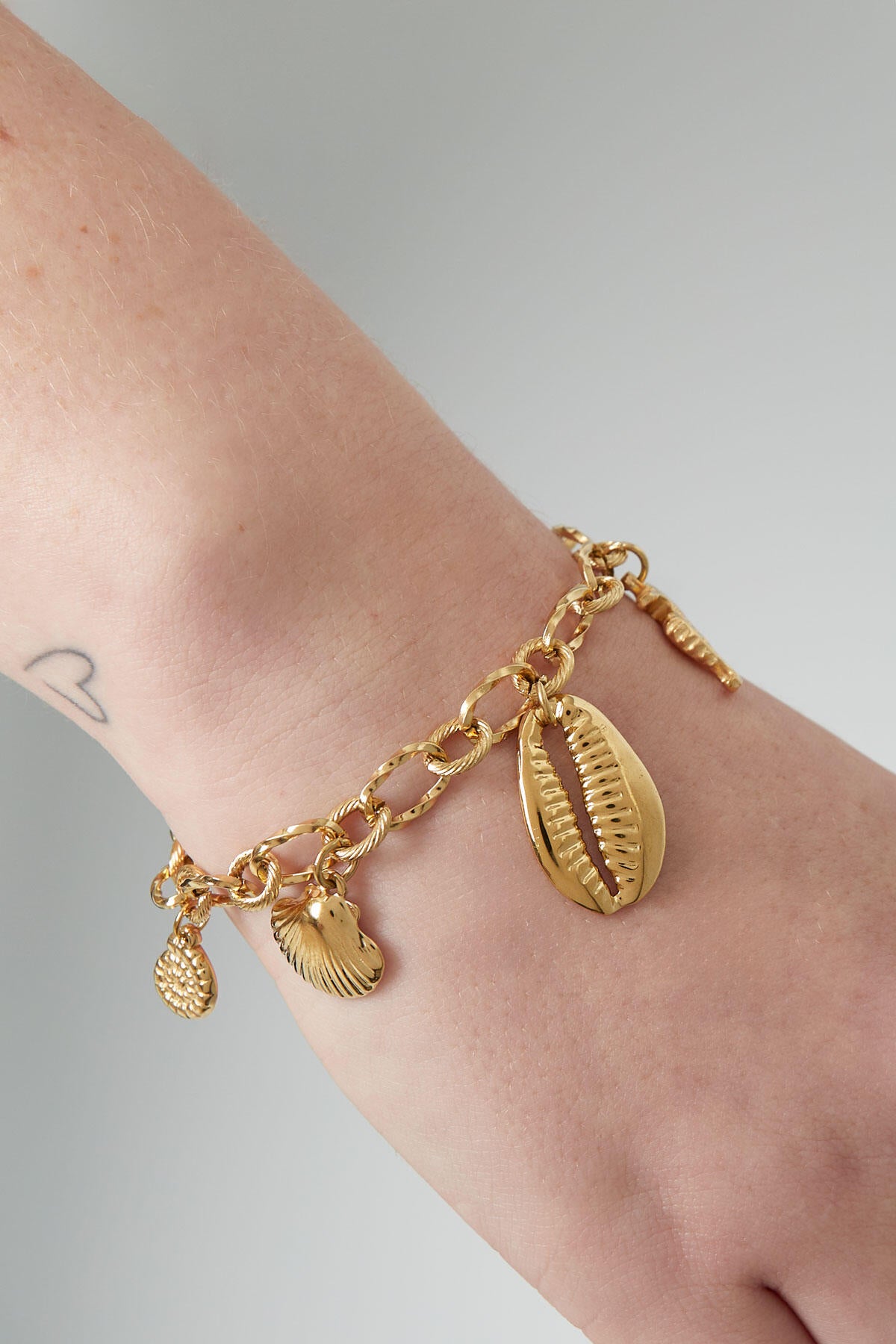 Stylish Stainless Steel Charm Bracelets in Silver & Gold