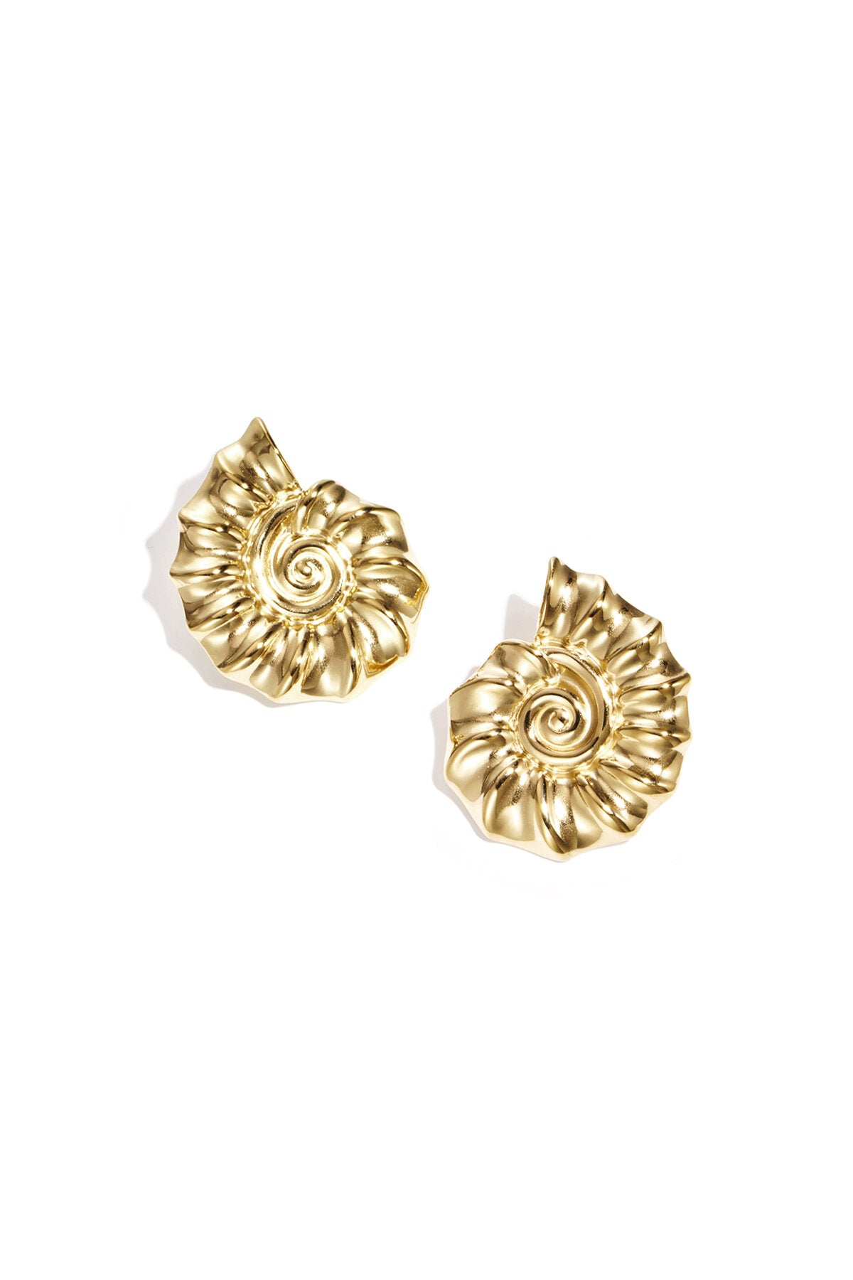 Stylish Shell Stud Earrings for Women - Silver & Gold