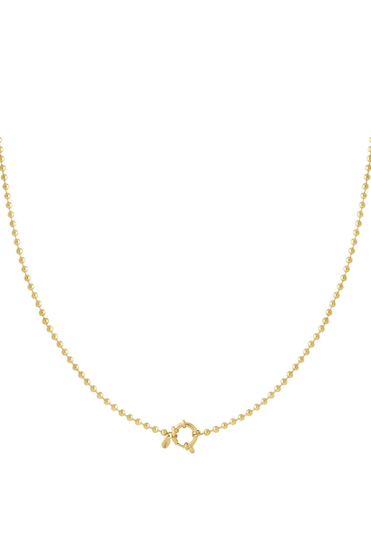 Stylish Gold Stainless Steel Short Necklace for Daily Wear