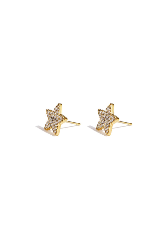 Elegant Star Stud Earrings for Daily Wear