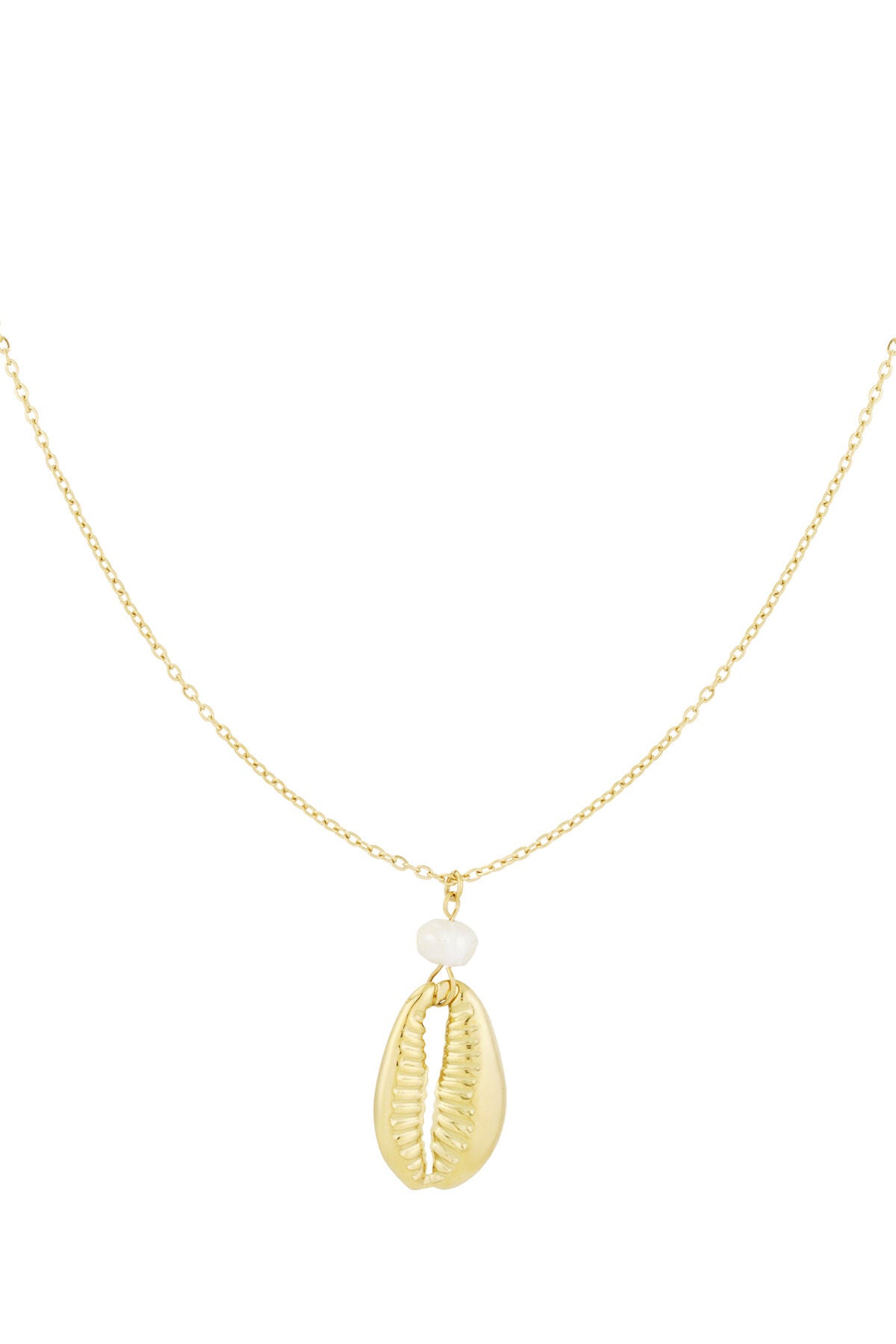 Elegant Stainless Steel Shell Pendant Necklace