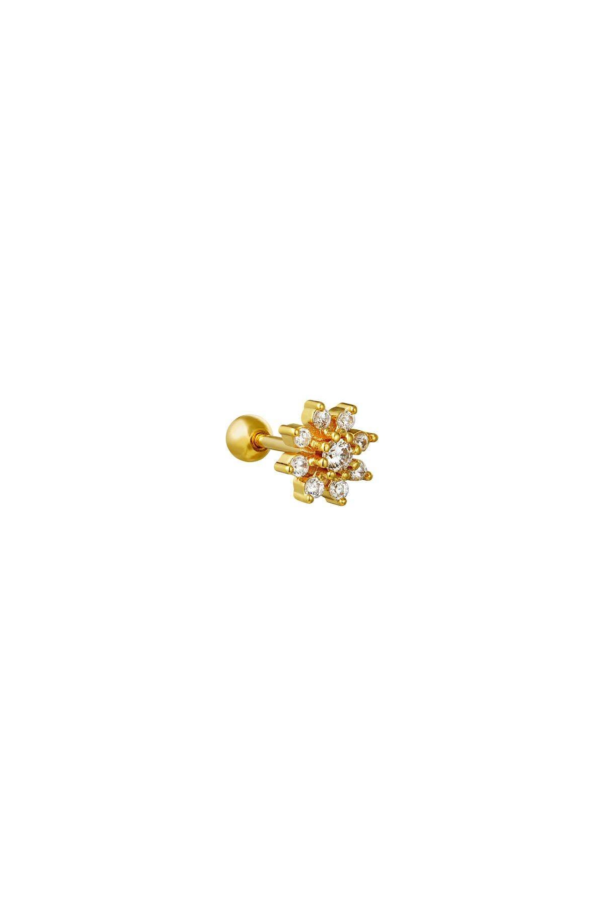 Elegant Silver & Gold Tone Piercing Earrings