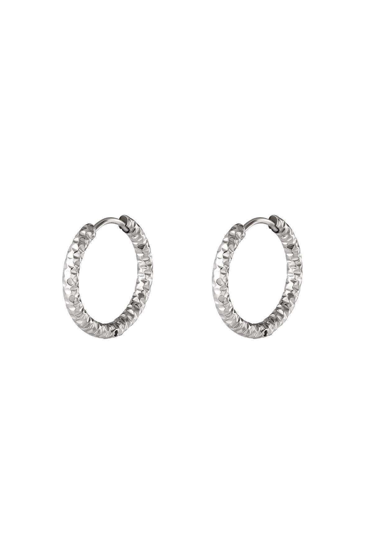 Stylish Stainless Steel Hoop Earrings - Silver & Gold