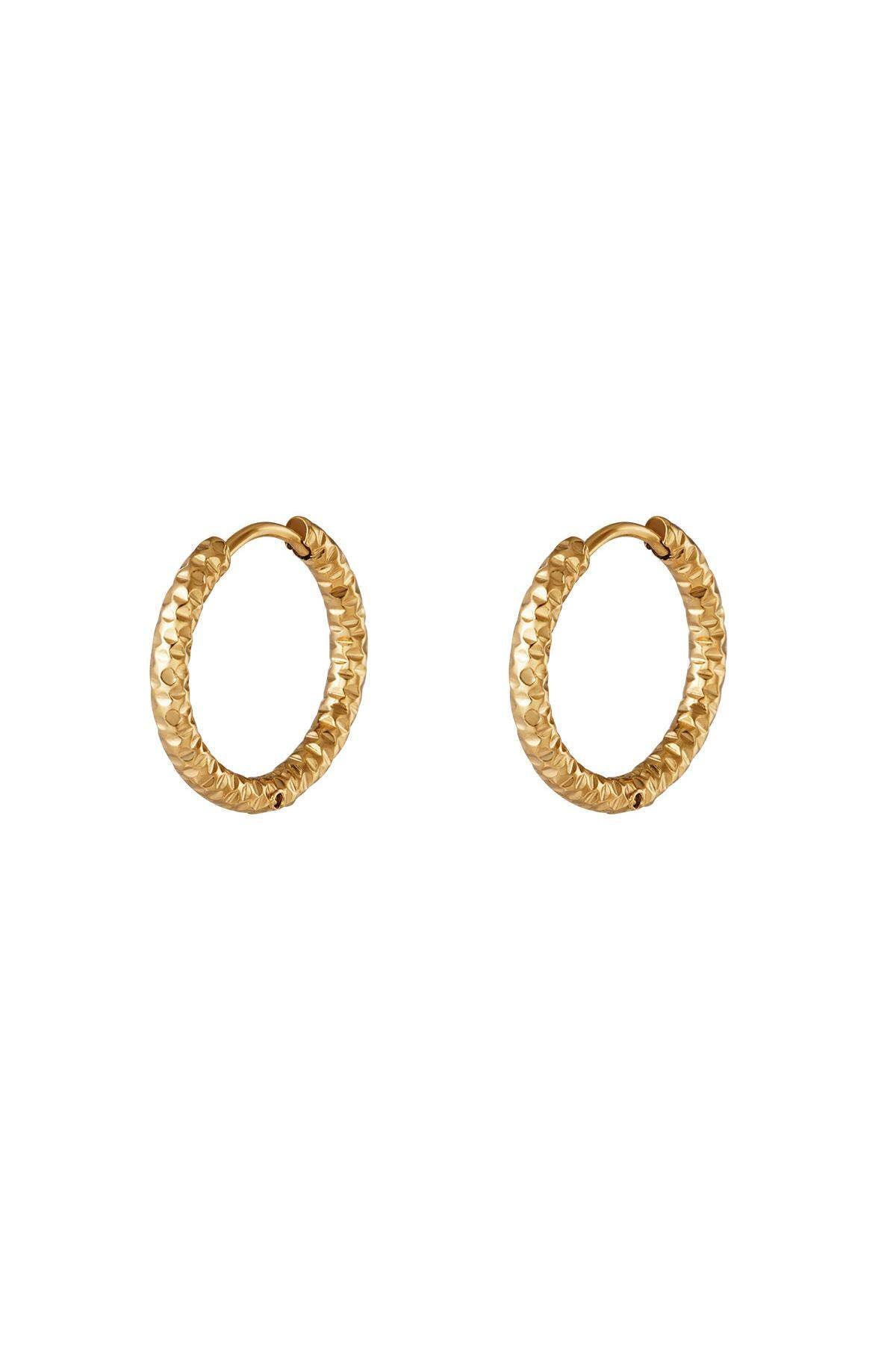 Stylish Stainless Steel Hoop Earrings - Silver & Gold