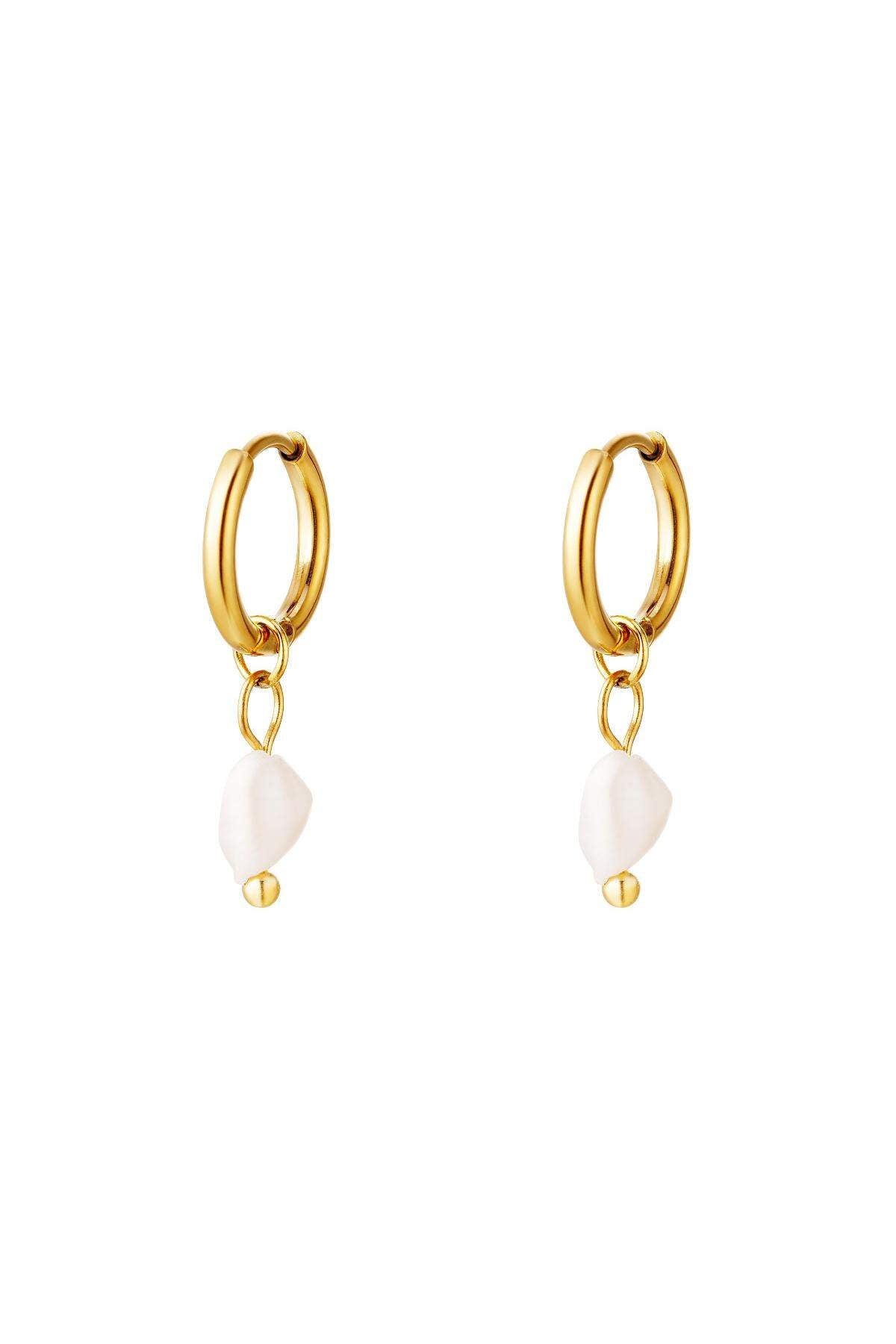 Elegant Stainless Steel Drop Earrings in Silver & Gold
