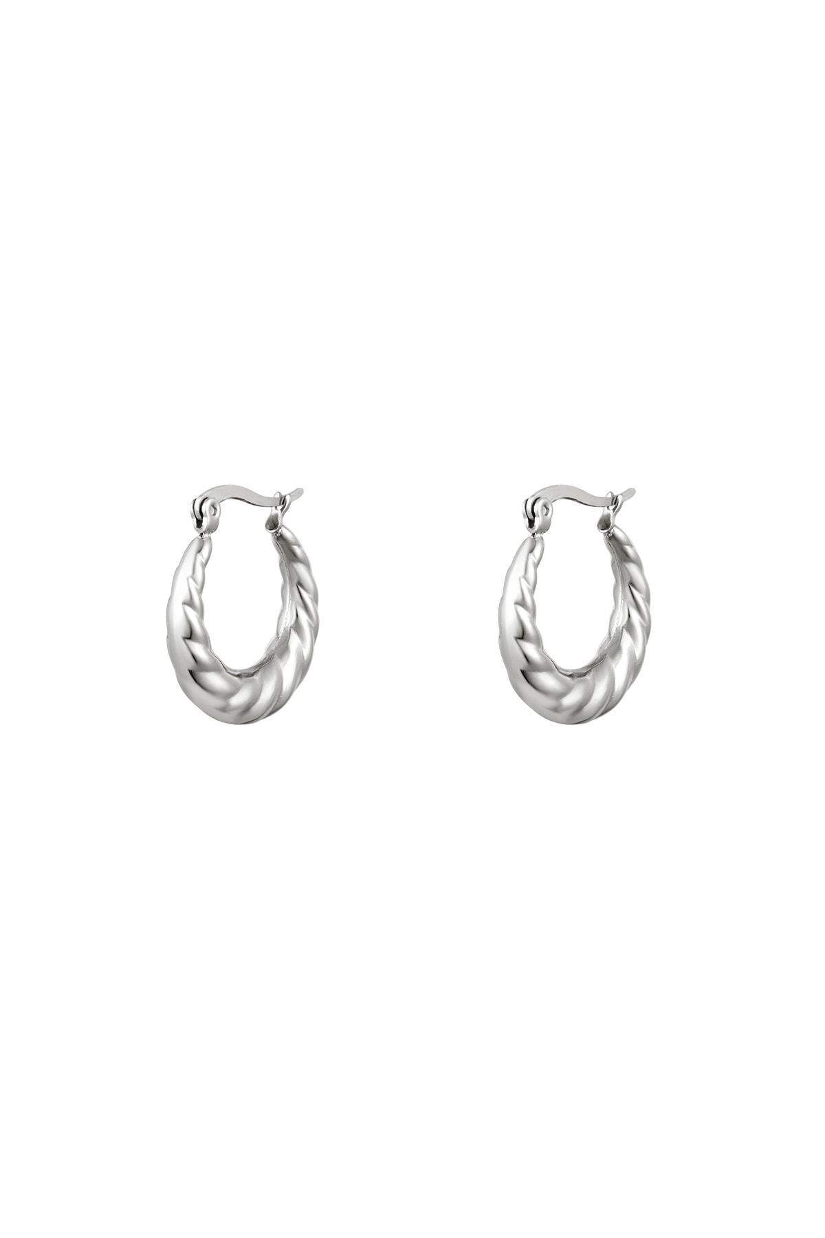 Stylish Stainless Steel Hoop Earrings - Silver & Gold