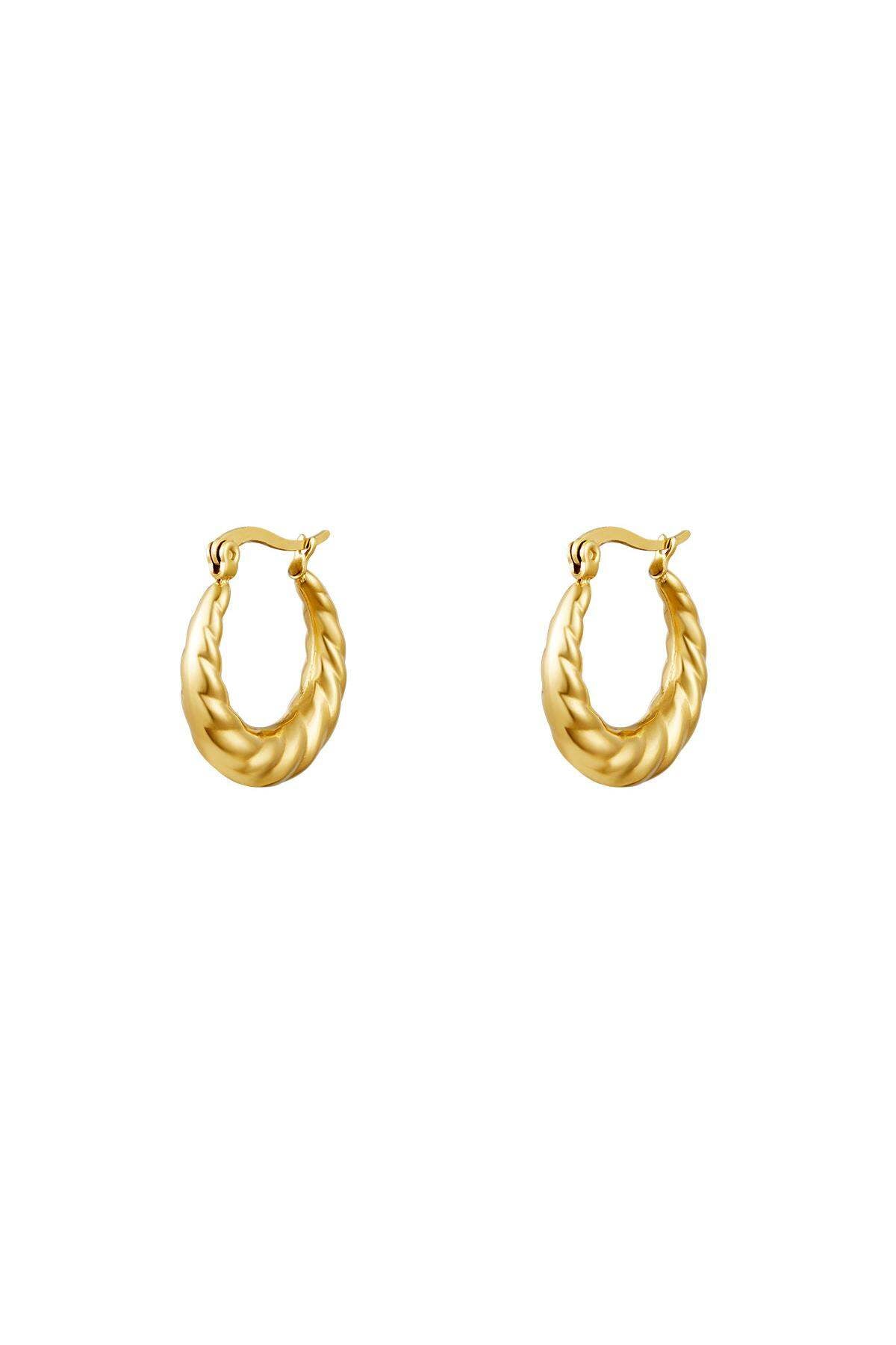 Stylish Stainless Steel Hoop Earrings - Silver & Gold