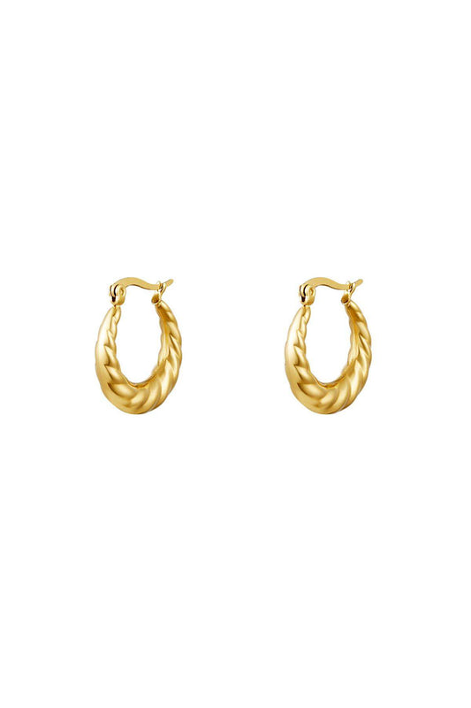 Stylish Stainless Steel Hoop Earrings - Silver & Gold