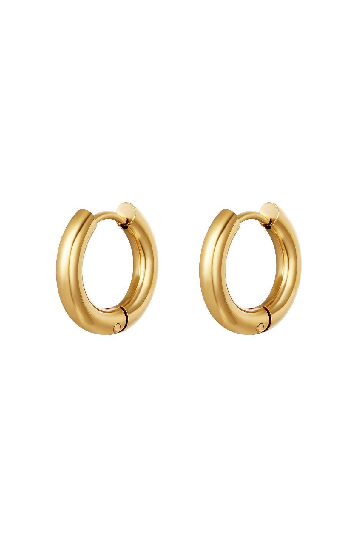 Elegant Silver & Gold Hoop Earrings for Everyday Wear