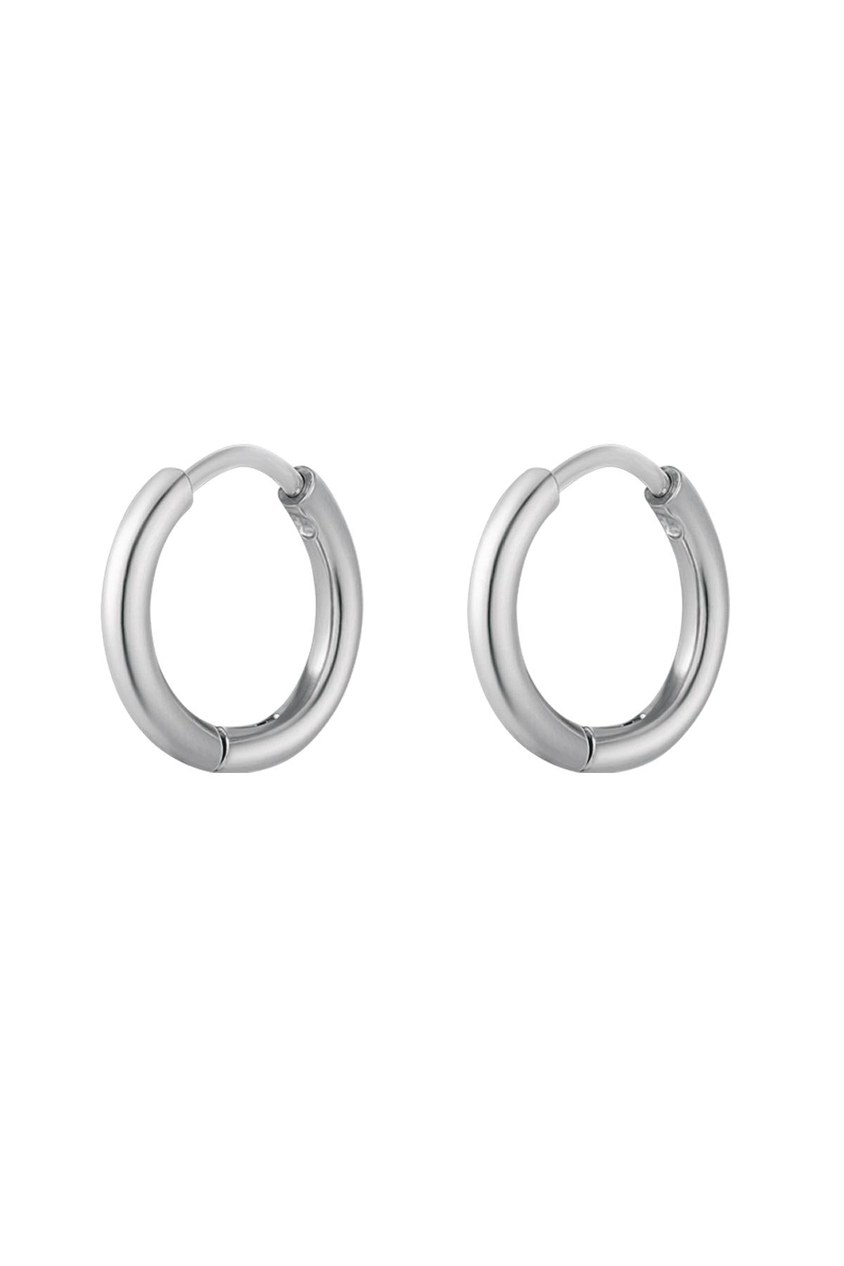 Stylish Stainless Steel Hoop Earrings - Silver & Gold