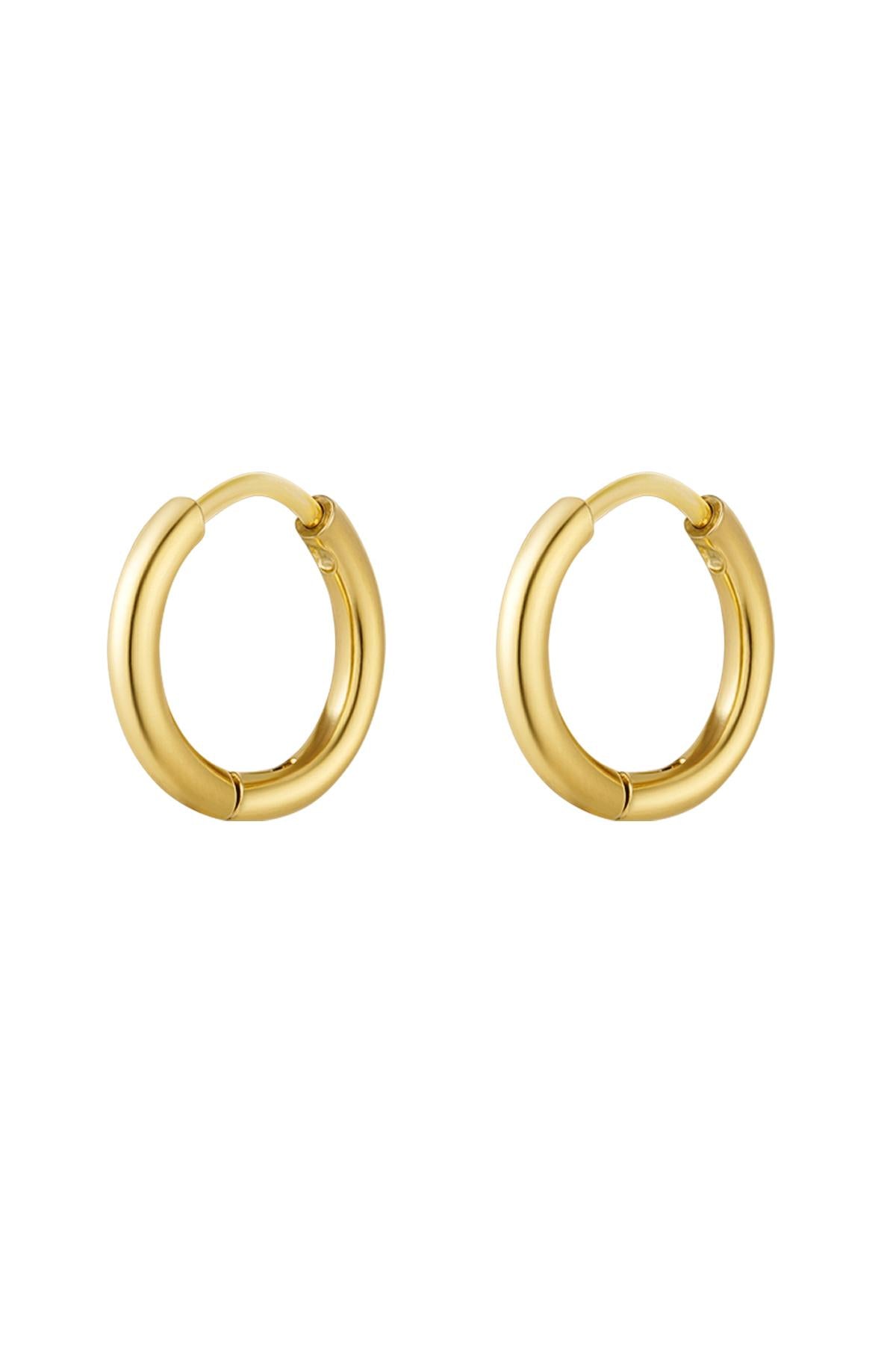 Stylish Stainless Steel Hoop Earrings - Silver & Gold