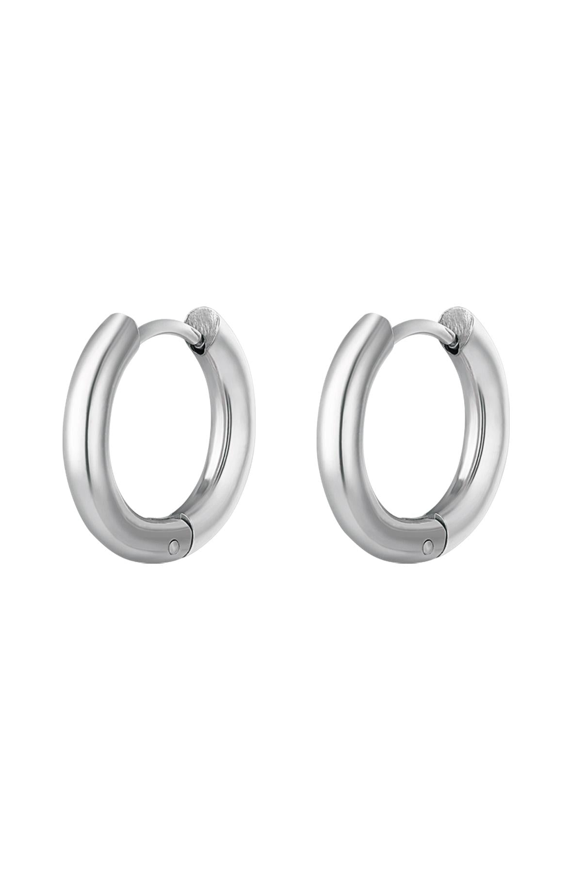 Elegant Stainless Steel Hoop Earrings - Silver & Gold
