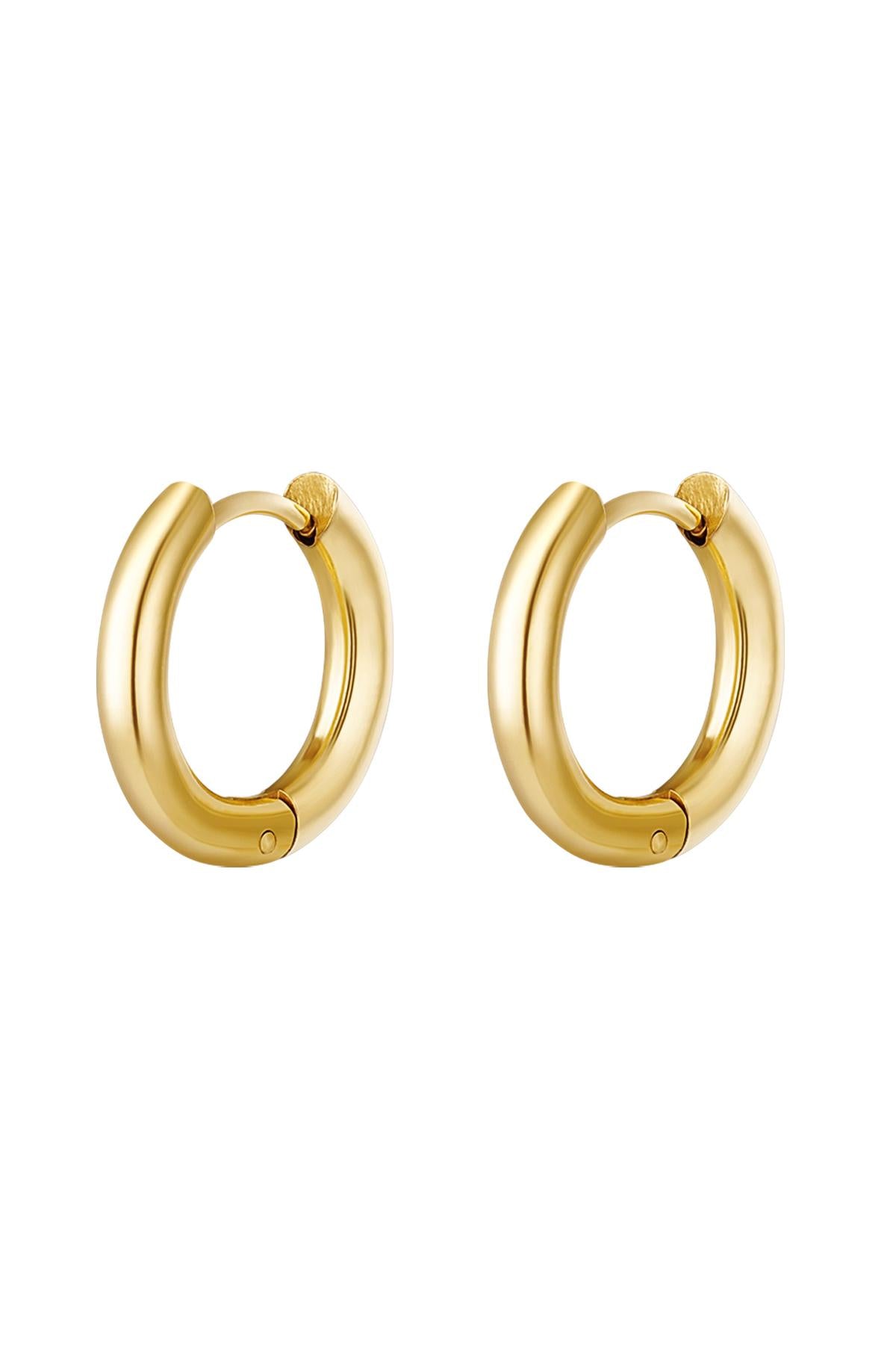 Elegant Stainless Steel Hoop Earrings - Silver & Gold