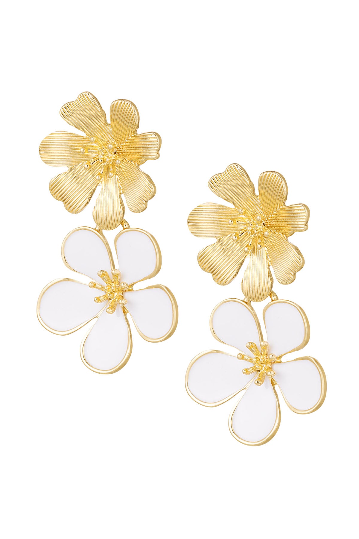 Elegant Drop Earrings for Women in Multiple Colors