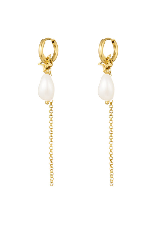 Elegant Drop Earrings in Silver & Gold