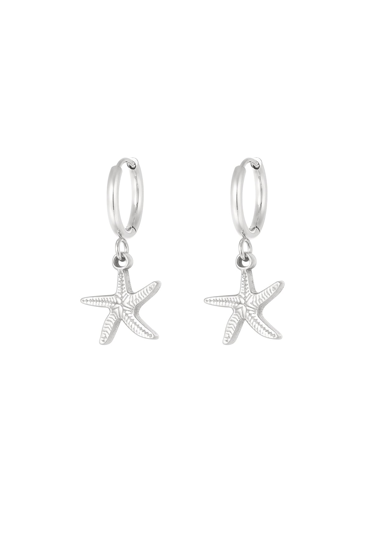 Stylish Drop Earrings in Silver & Gold