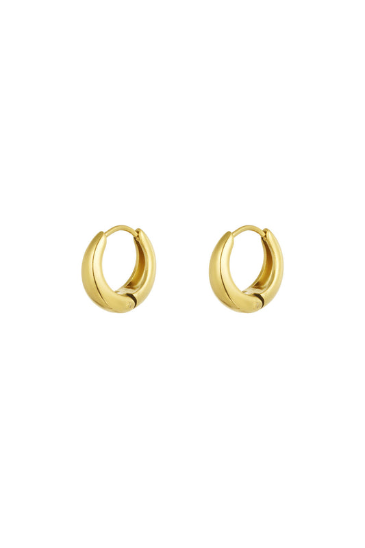 Stylish Basic Hoop Earrings in Silver & Gold
