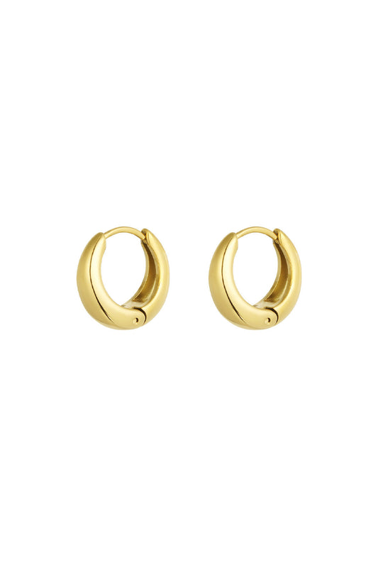 Stylish Basic Hoop Earrings in Silver & Gold