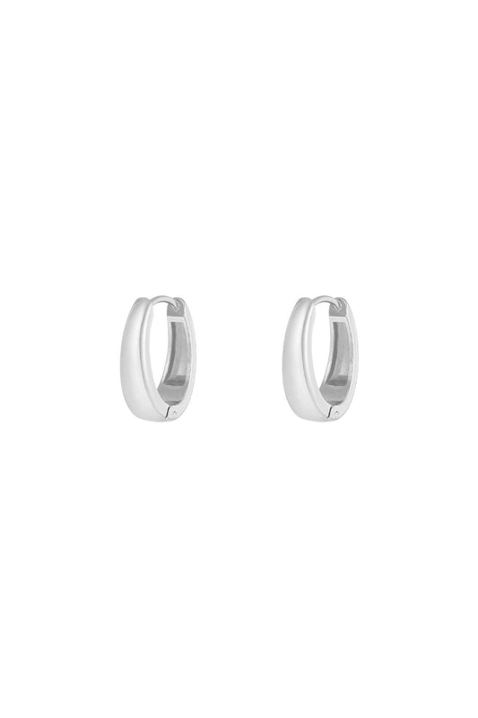 Stylish Stainless Steel Hoop Earrings - Silver & Gold