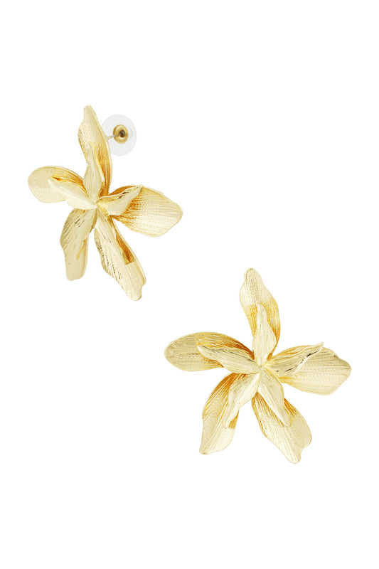 Elegant Gold-Tone Stud Earrings for Every Occasion