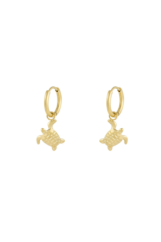 Elegant Stainless Steel Drop Earrings in Silver and Gold