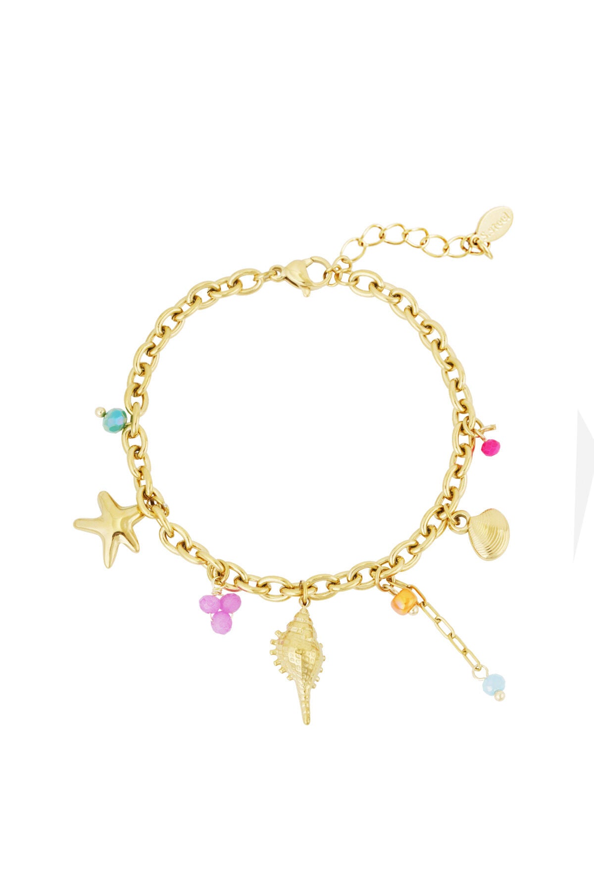 Elegant Charm Bracelets in Silver & Gold