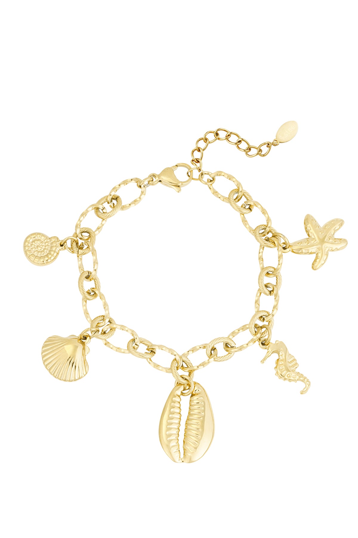 Stylish Stainless Steel Charm Bracelets in Silver & Gold