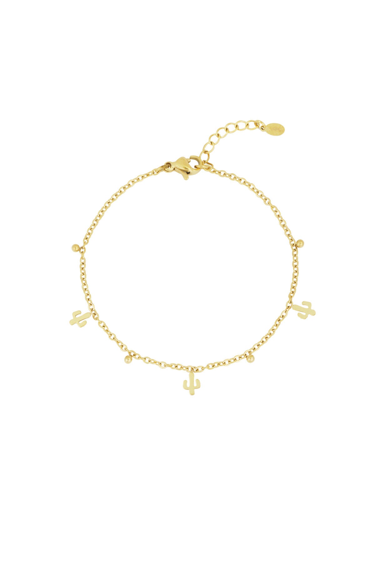 Stylish Stainless Steel Charm Bracelets for Every Occasion