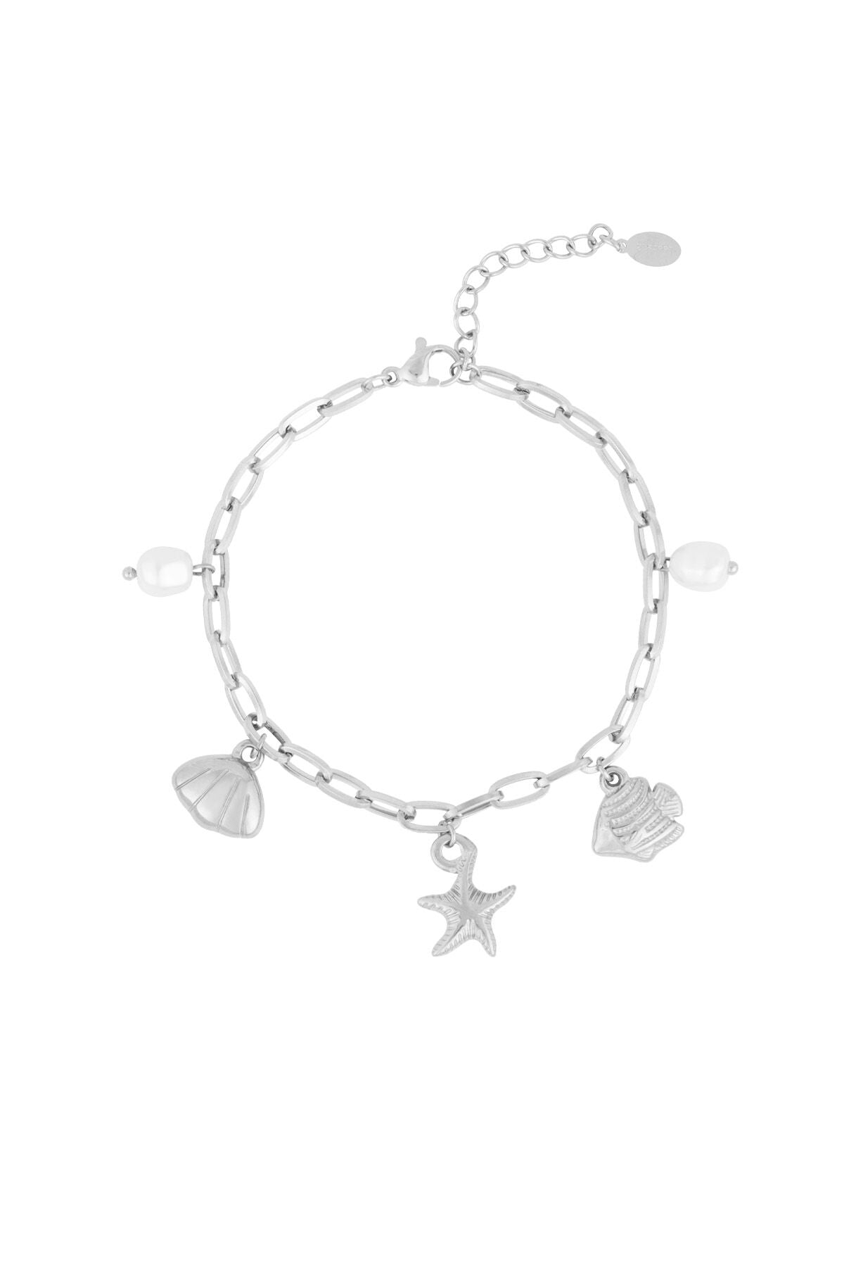 Elegant Charm Bracelet in Silver & Gold Tones