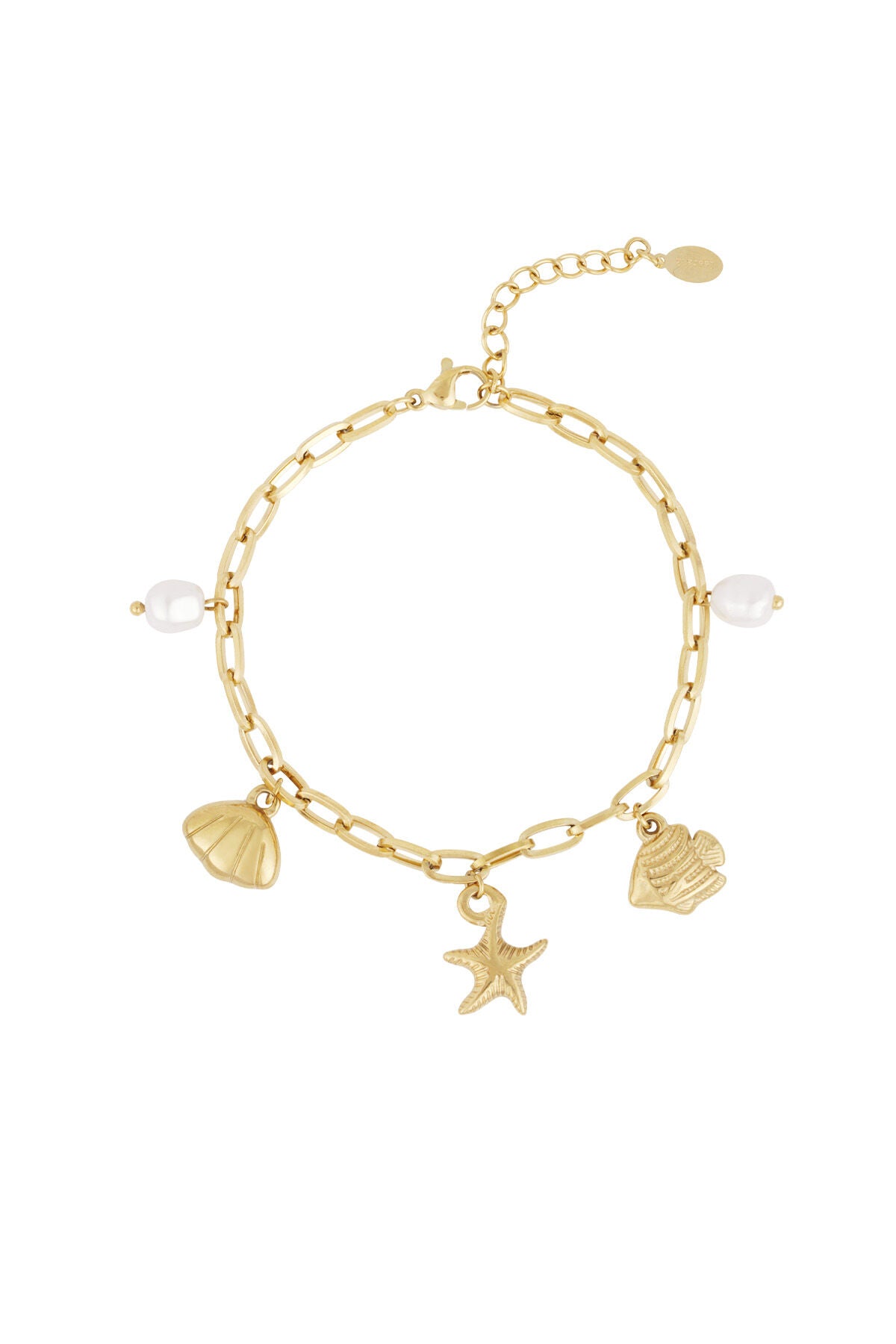 Elegant Charm Bracelet in Silver & Gold Tones
