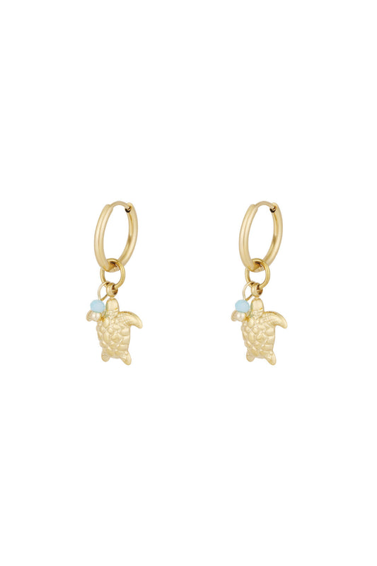 Elegant Drop Earrings in Silver and Gold