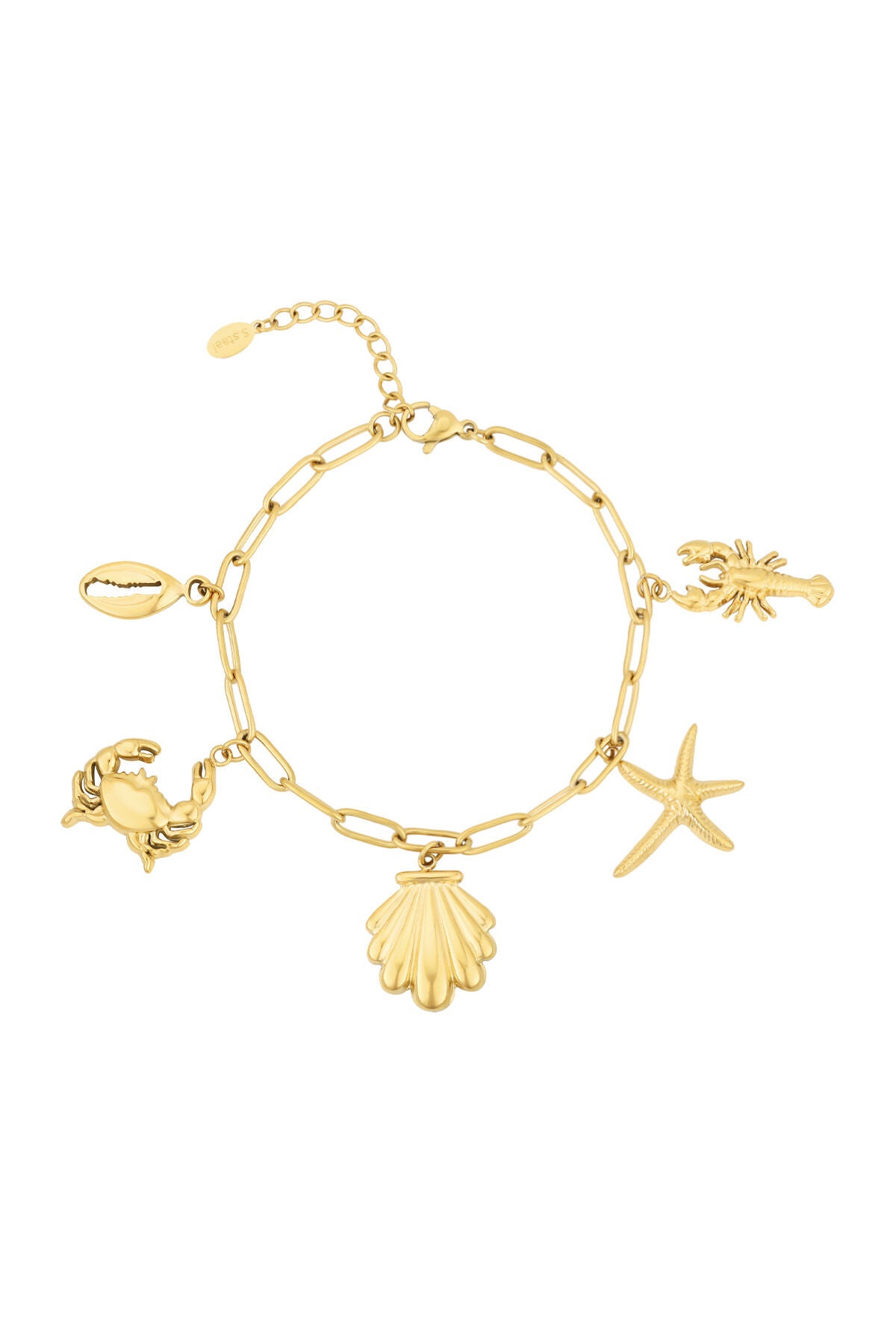 Elegant Charm Bracelets in Silver & Gold