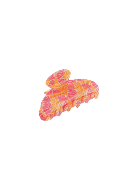 Vibrant Spring/Summer Hair Claws for Women