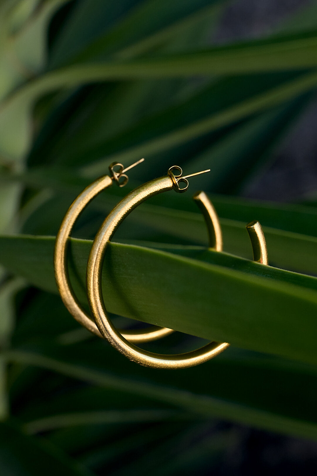 Elegant Circle Hoop Earrings for Women, Silver & Gold