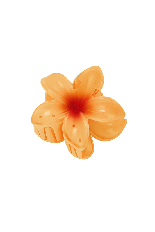 Charming Plastic Flower Hair Clips for Women
