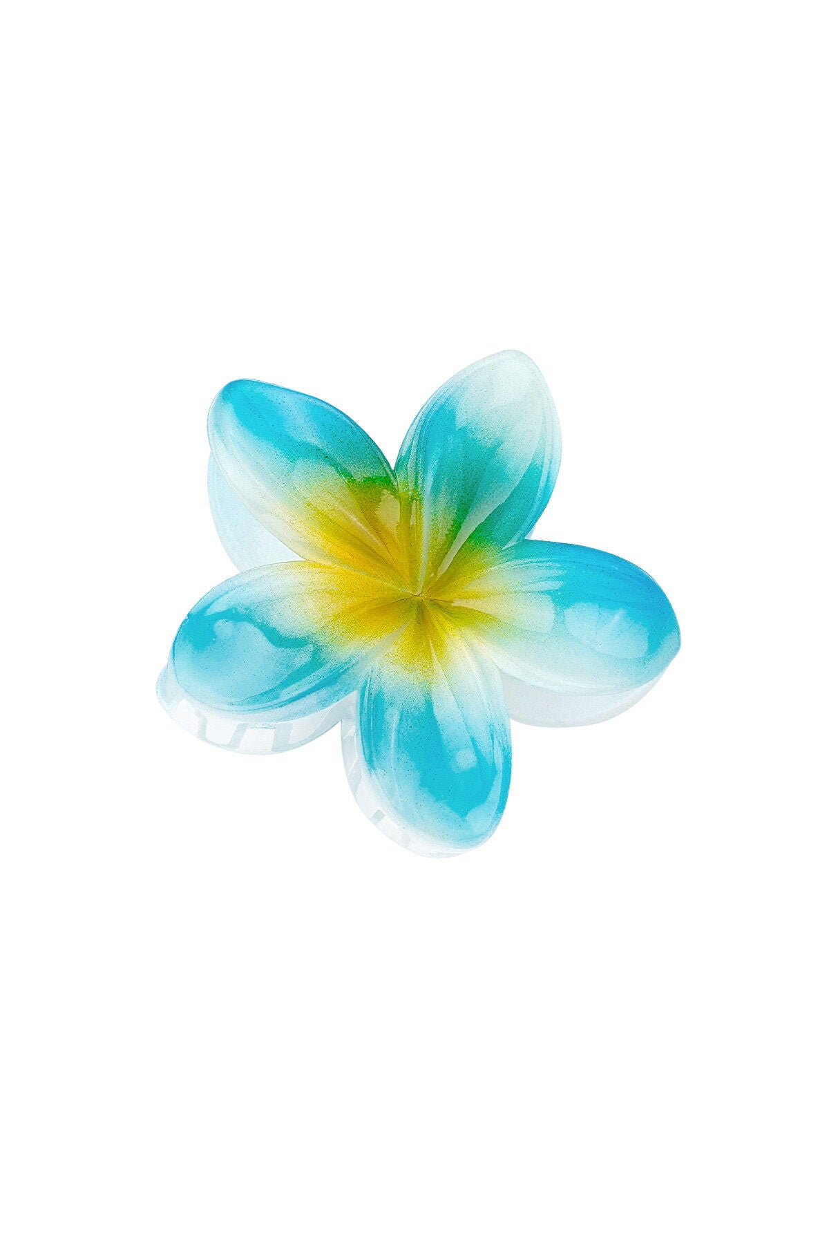 Colorful Plastic Hair Clips for Stylish Looks